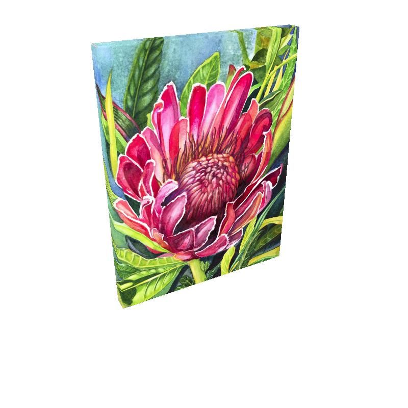 Protea Watercolor Canvas